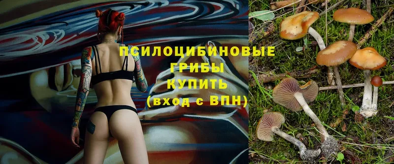 Галлюциногенные грибы Magic Shrooms  Анива 